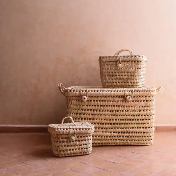 Handwoven Storage Basket | Suitcase