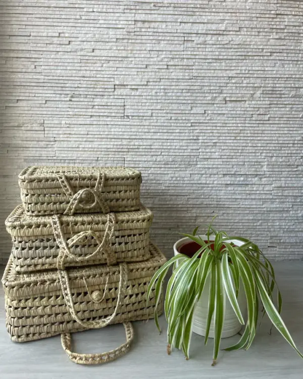 Handmade Palm Leaf Suitcase Set – Trio of Storage Baskets