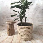 Handmade Round Palm Leaf Basket – XS, S, M, L | Natural Moroccan Storage - Image 6