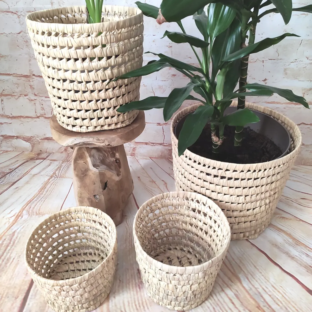 Handmade Round Palm Leaf Basket – XS, S, M, L | Natural Moroccan Storage - Image 1