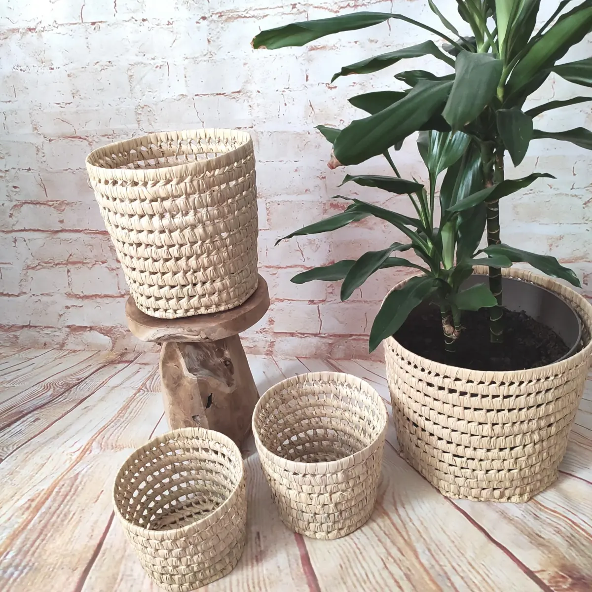 Handmade Round Palm Leaf Basket – XS, S, M, L | Natural Moroccan Storage - Image 5