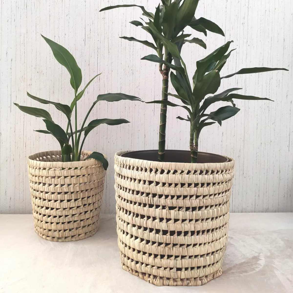 Handmade Round Palm Leaf Basket – XS, S, M, L | Natural Moroccan Storage - Image 4
